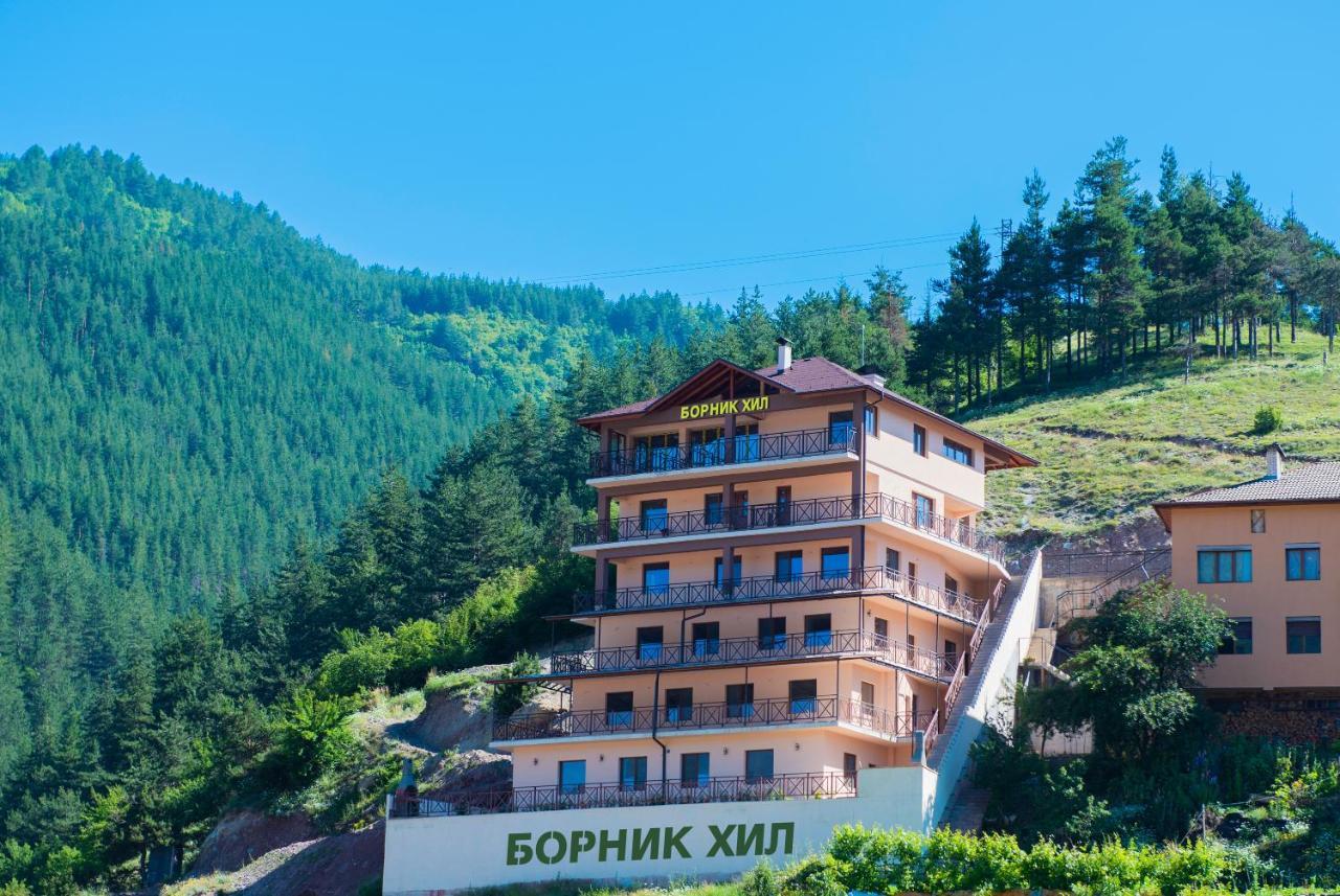 Борник Хил / Bornik Hill Devin Exterior foto